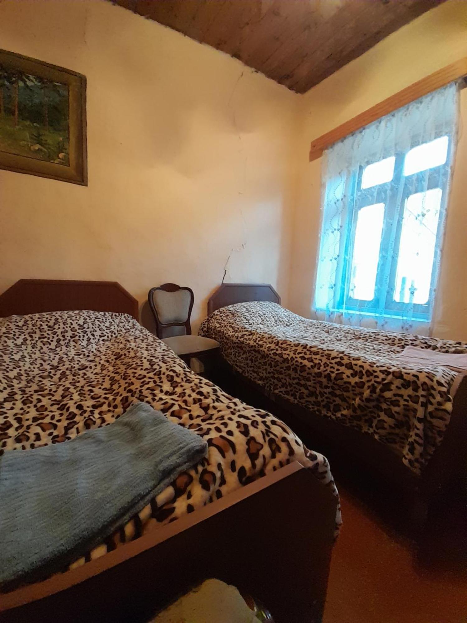 Adishi Guest House Zhora Kaldani Exteriér fotografie