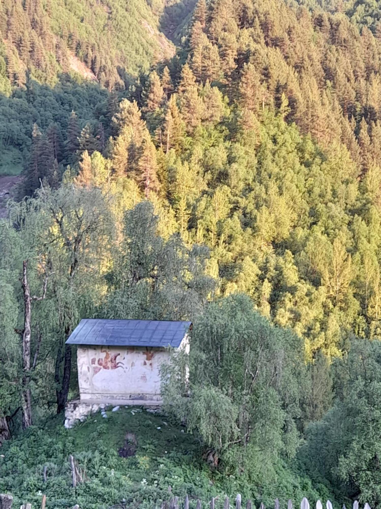 Adishi Guest House Zhora Kaldani Exteriér fotografie